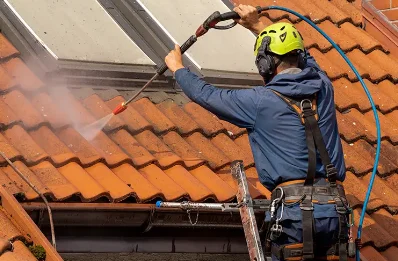 Démoussage et hydrofuge de toiture à Manziat